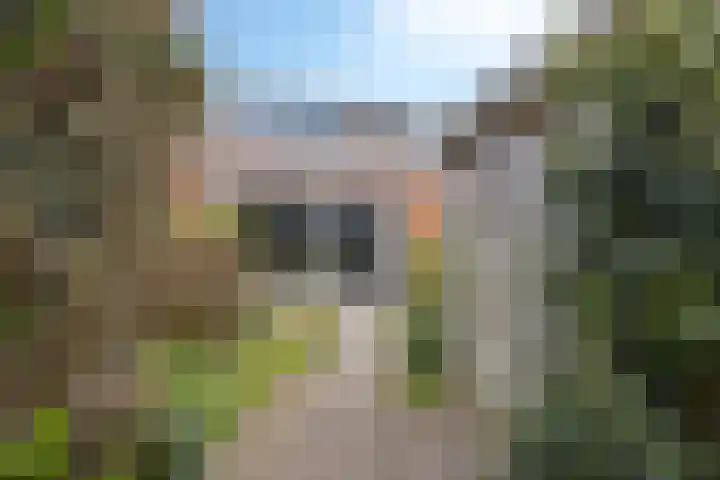 De Stelp 11 Amersfoort thumbnail 5