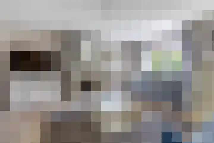 De Stelp 14 Amersfoort thumbnail 4