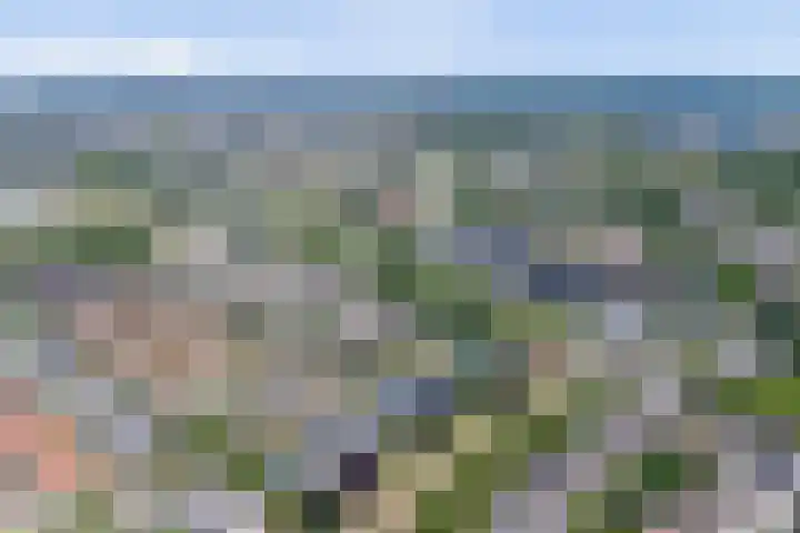 De Stelp 14 Amersfoort thumbnail 40