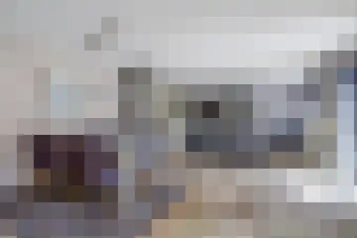 De Stelp 14 Amersfoort thumbnail 7