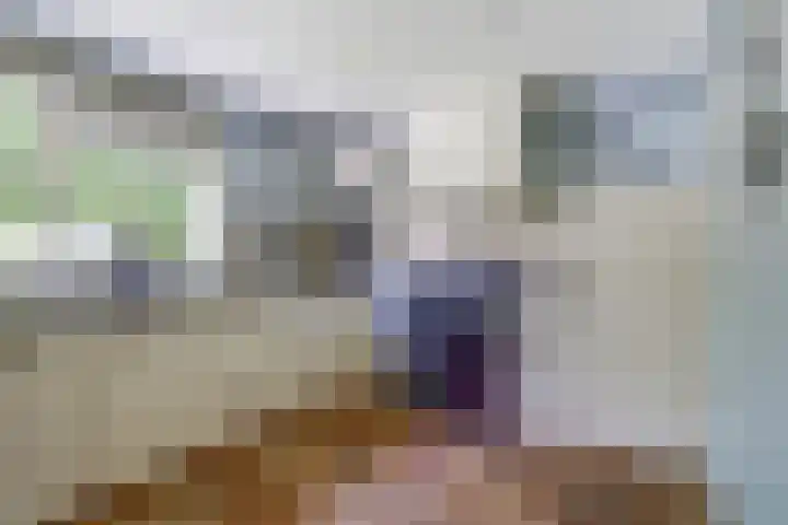 De Stelp 14 Amersfoort thumbnail 9