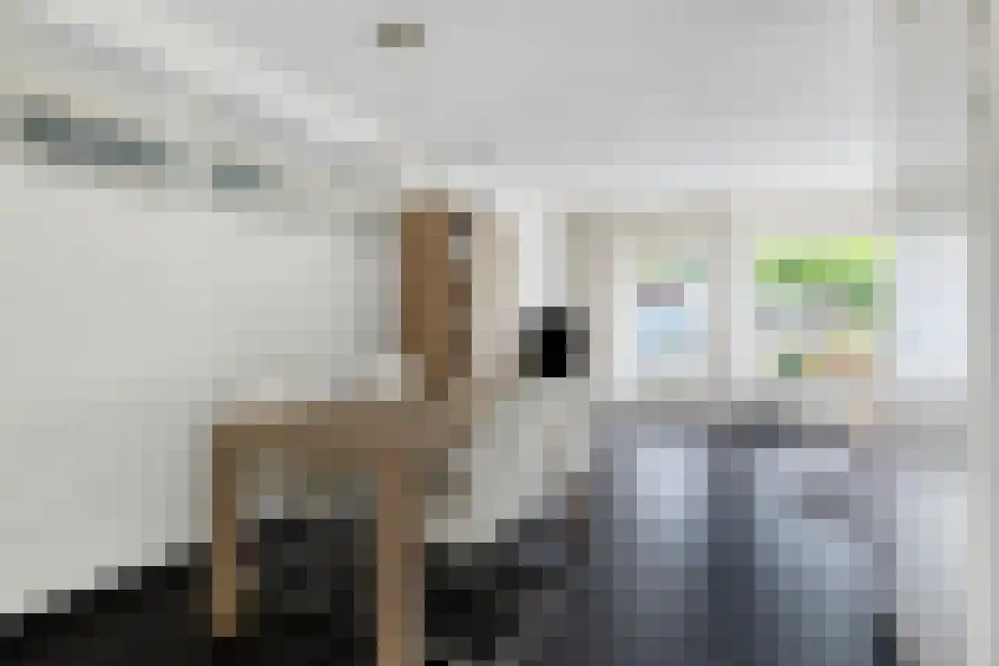De Ster 27 Wouw thumbnail 18