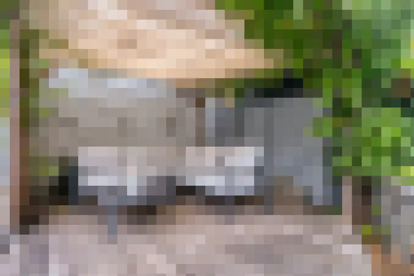 De Ster 27 Wouw thumbnail 36