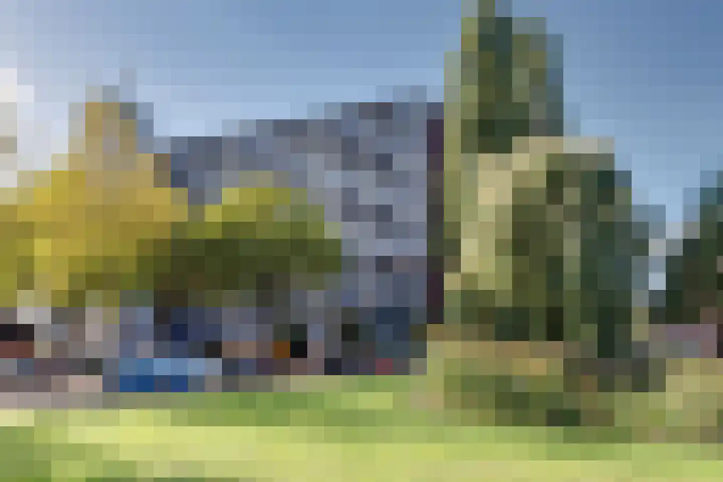 De Sterke Arm 109 Veenendaal thumbnail 5