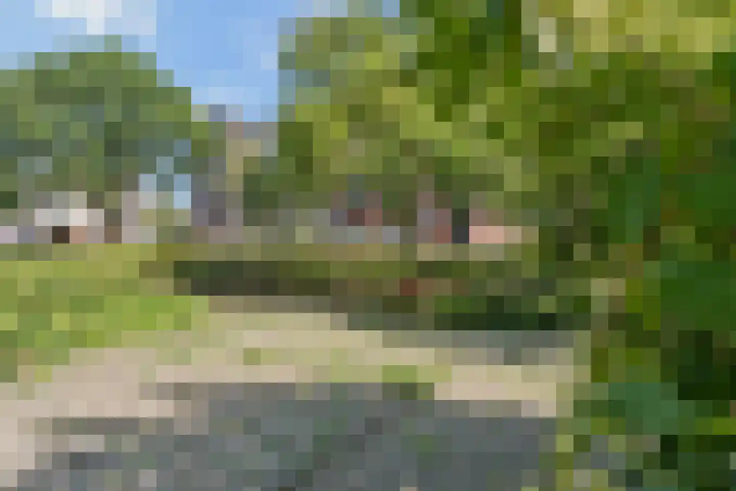 De Sterke Arm 115 Veenendaal thumbnail 27