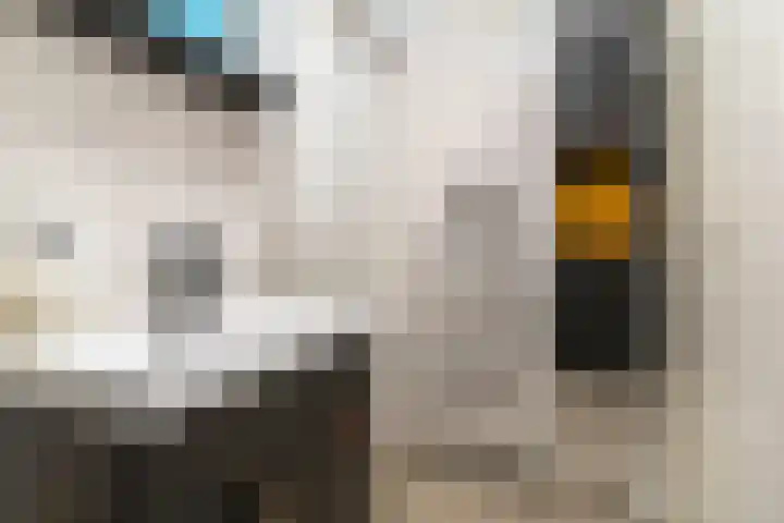 De Sterke Arm 121 Veenendaal thumbnail 19