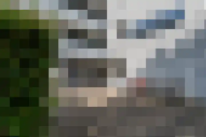 De Sterke Arm 121 Veenendaal thumbnail 20