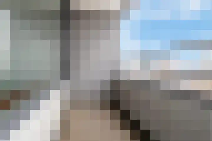 De Sterke Arm 125 Veenendaal thumbnail 6