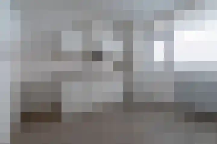 De Sterke Arm 125 Veenendaal thumbnail 9