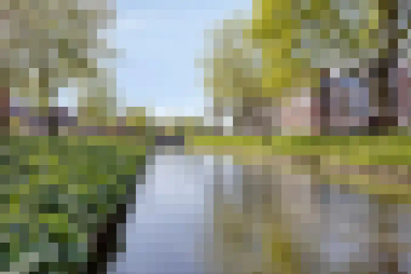 De Sterke Arm 127 Veenendaal thumbnail 16
