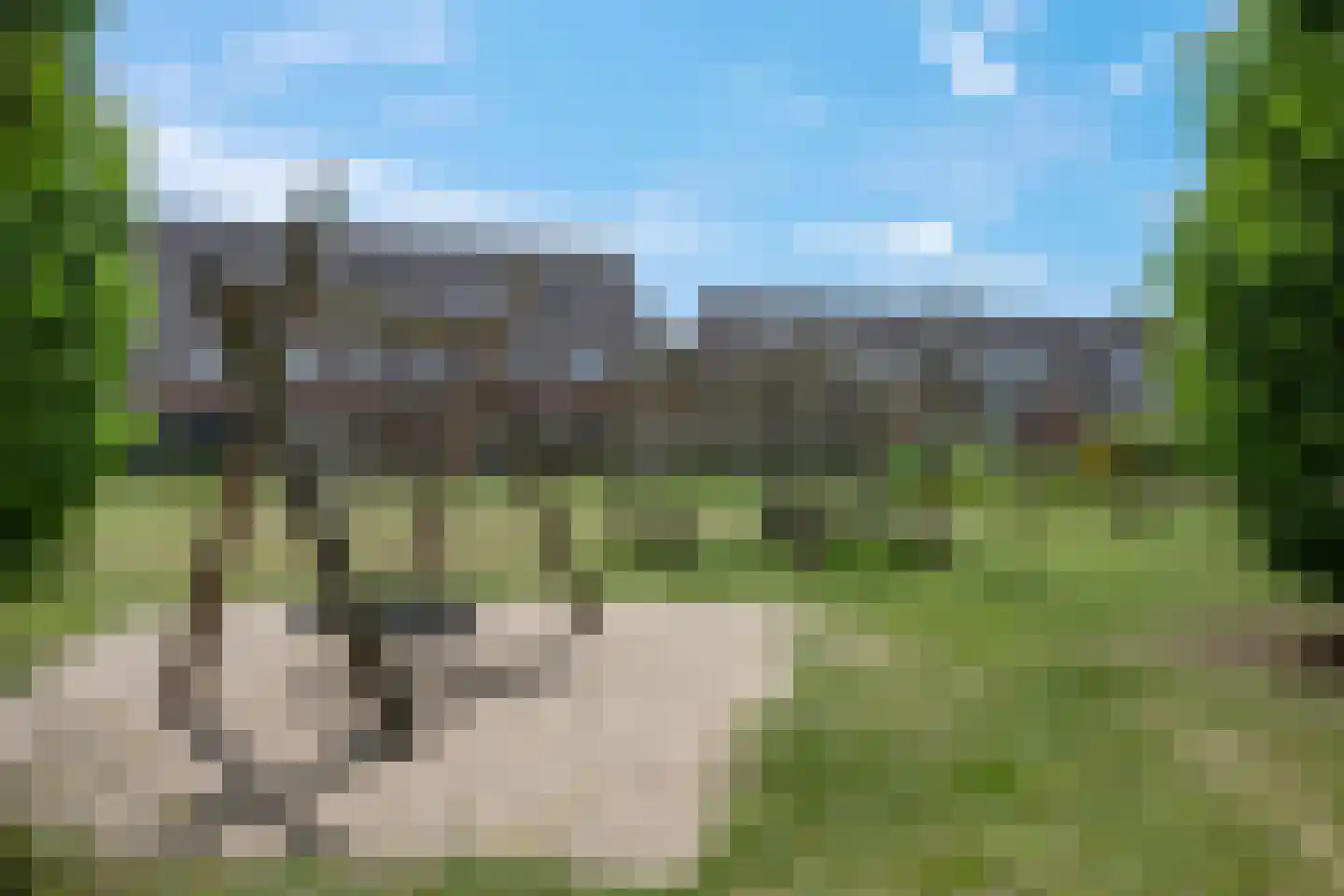 De Sterke Arm 17 Veenendaal thumbnail 25