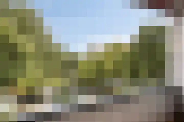 De Sterke Arm 69 Veenendaal thumbnail 27