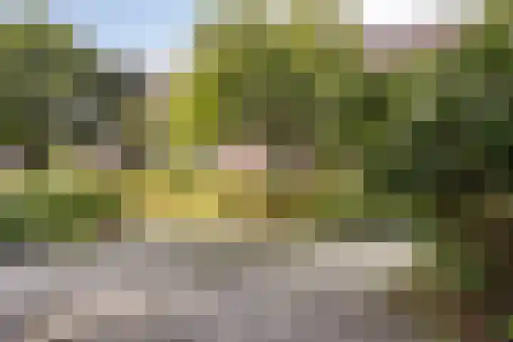 De Sterke Arm 69 Veenendaal thumbnail 31