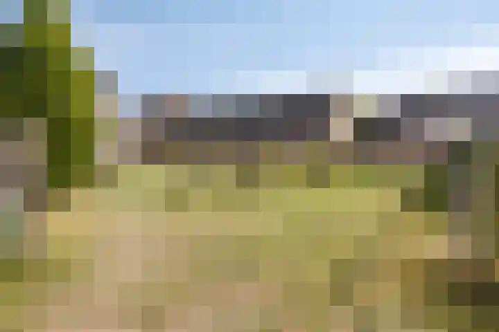 De Sterke Arm 69 Veenendaal thumbnail 32