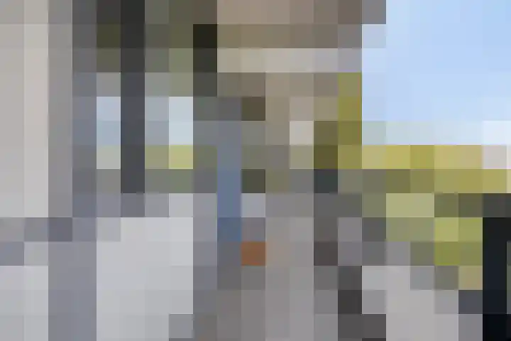 De Sterke Arm 69 Veenendaal thumbnail 8