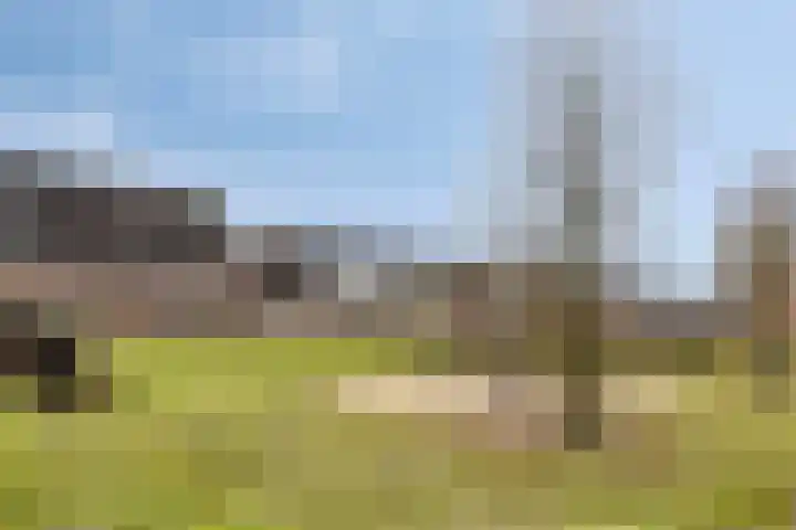 De Sterke Arm 97 Veenendaal thumbnail 29