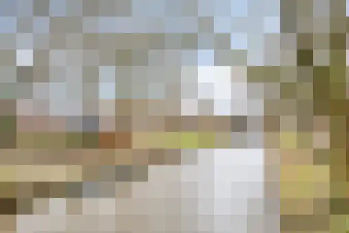 De Sterke Arm 97 Veenendaal thumbnail 30
