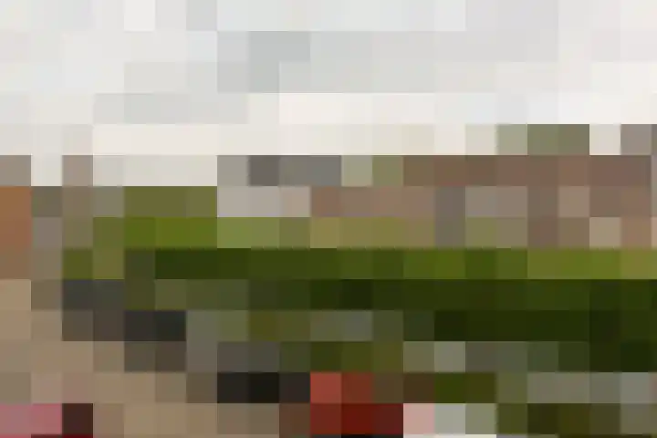 De Stern 16 Almelo thumbnail 15