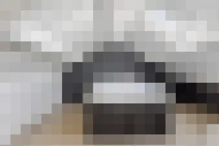 De Stern 16 Almelo thumbnail 4