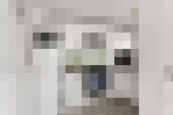 De Stern 16 Almelo thumbnail 5