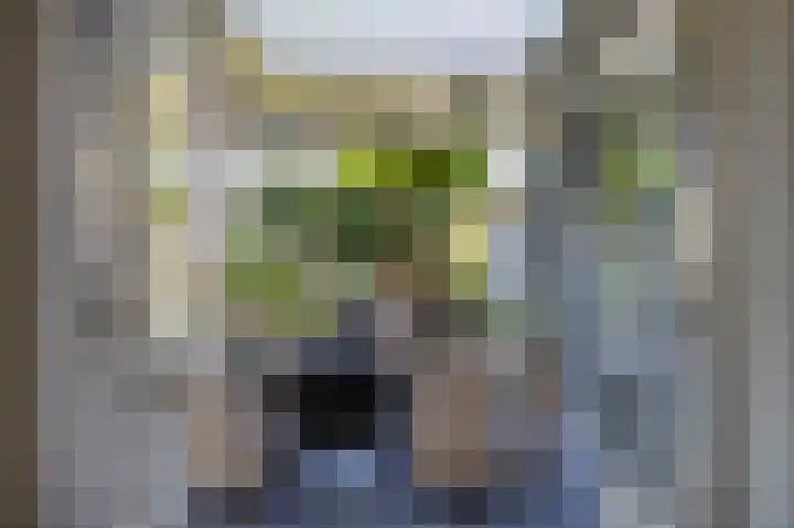 De Stern 2 Almelo thumbnail 12