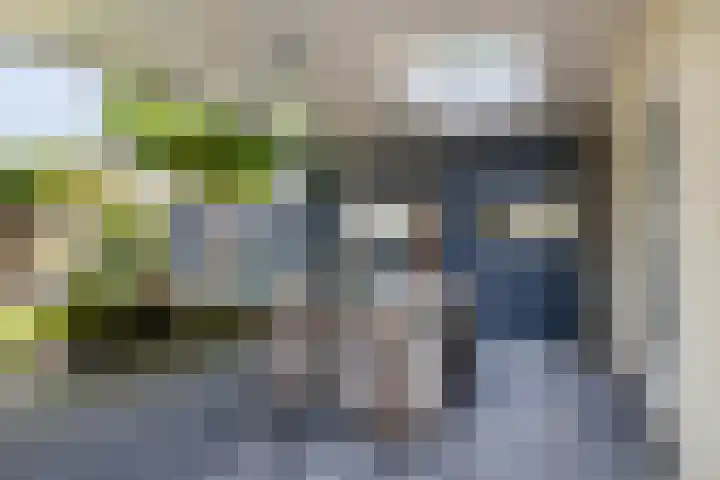 De Stern 2 Almelo thumbnail 21