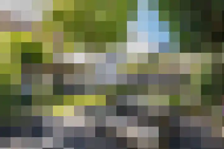 De Stern 2 Almelo thumbnail 25