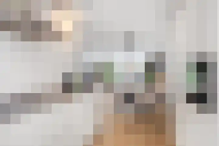 De Sterreschans 50 Molenhoek thumbnail 12