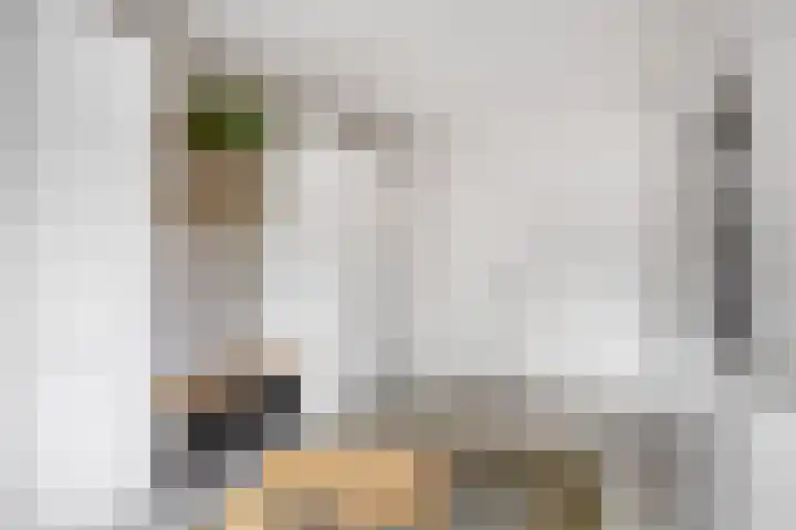 De Sterreschans 50 Molenhoek thumbnail 15