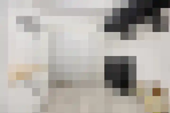 De Sterreschans 50 Molenhoek thumbnail 16