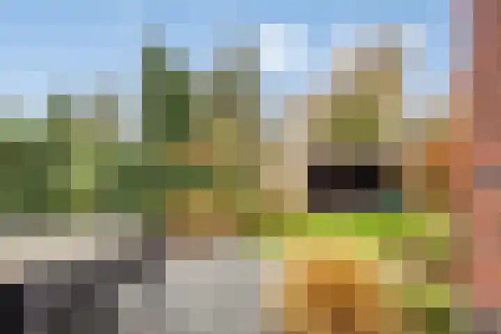 De Sterreschans 50 Molenhoek thumbnail 18