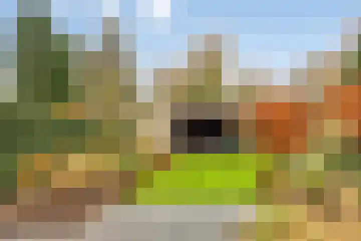 De Sterreschans 50 Molenhoek thumbnail 19