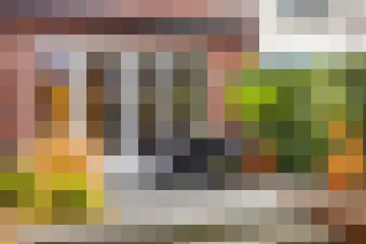 De Sterreschans 50 Molenhoek thumbnail 23