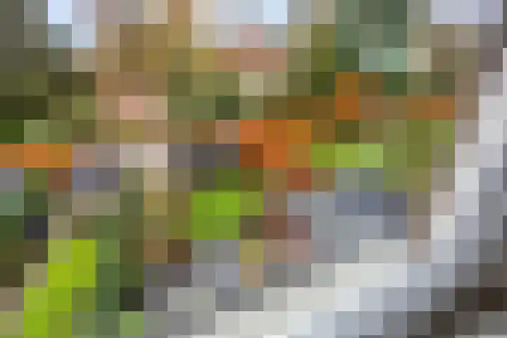 De Sterreschans 50 Molenhoek thumbnail 25