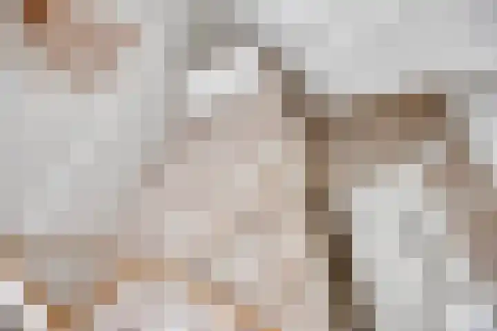 De Sterreschans 50 Molenhoek thumbnail 38