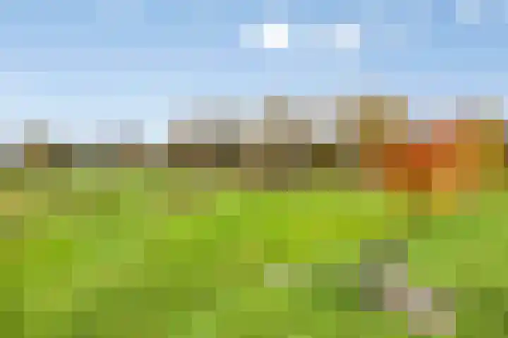 De Sterreschans 50 Molenhoek thumbnail 45