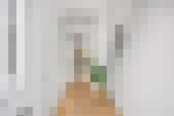 De Sterreschans 50 Molenhoek thumbnail 6