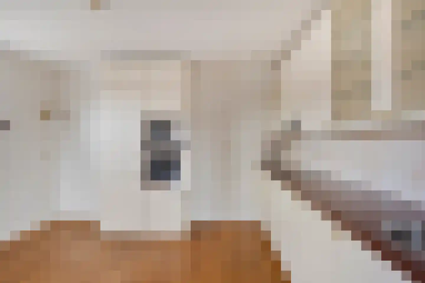 De Steven 21 Zaandam thumbnail 14
