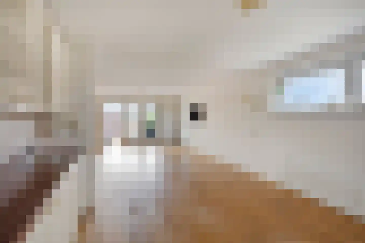 De Steven 21 Zaandam thumbnail 15