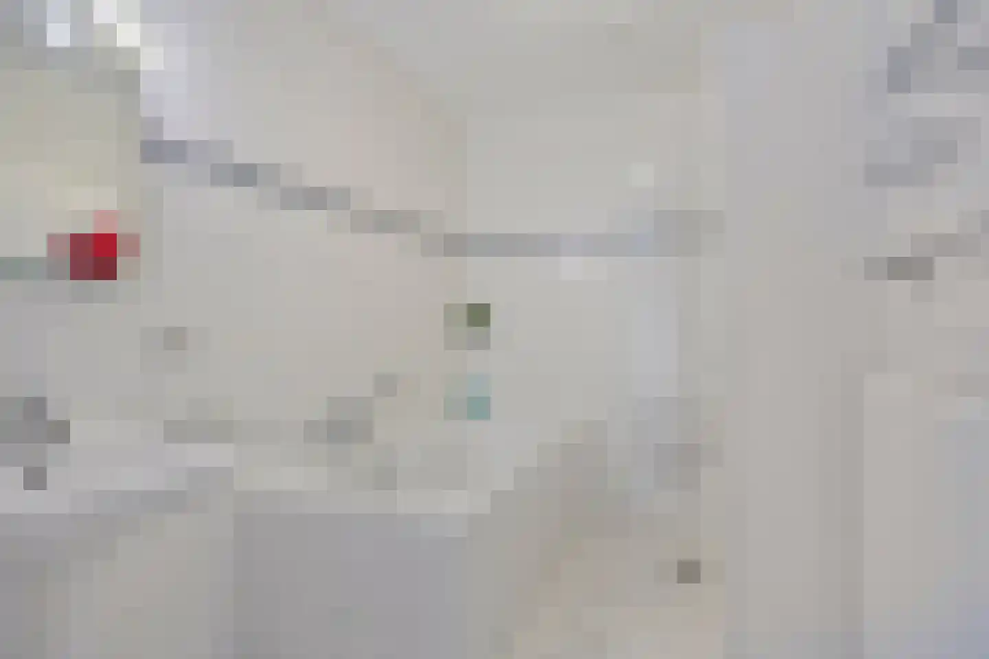 De Steven 21 Zaandam thumbnail 20