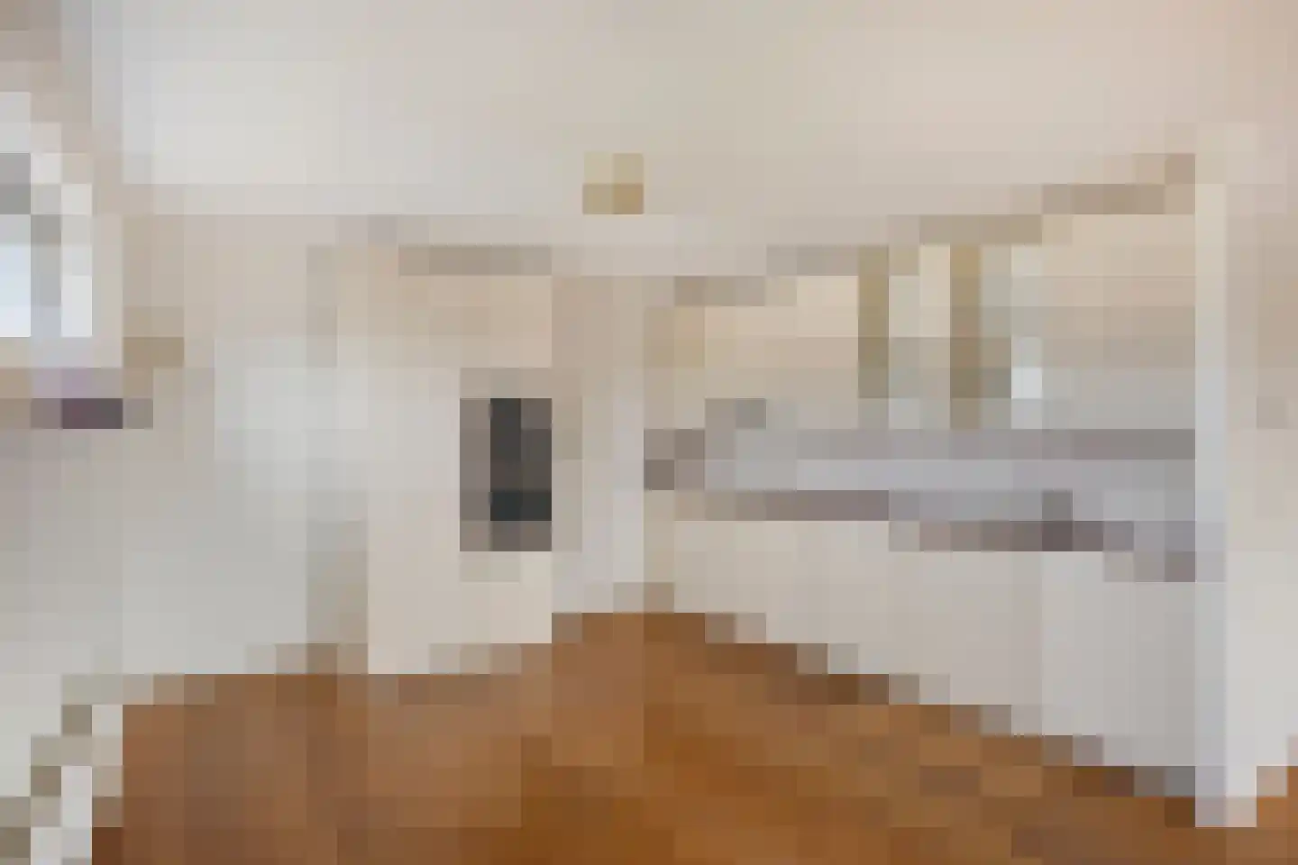De Steven 21 Zaandam thumbnail 4