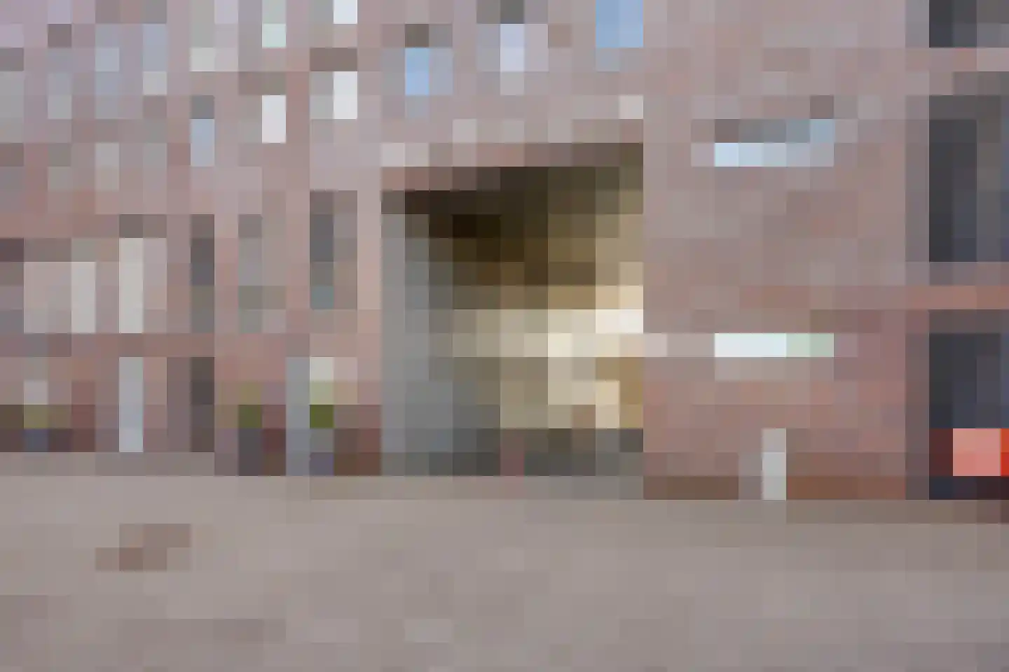 De Steven 21 Zaandam thumbnail 5