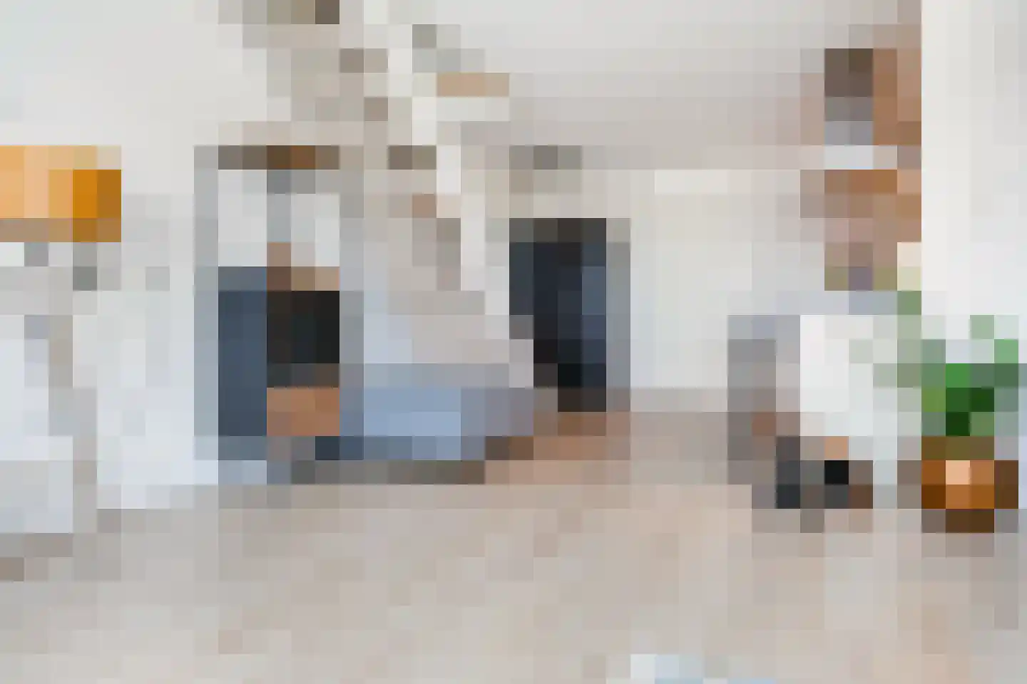 De Steven 29 Zaandam thumbnail 11