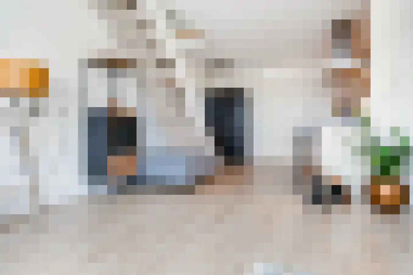 De Steven 29 Zaandam thumbnail 12
