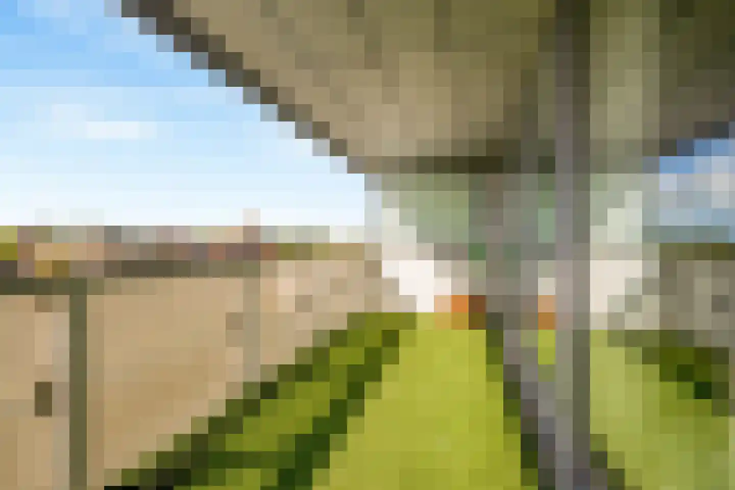 De Steven 29 Zaandam thumbnail 12