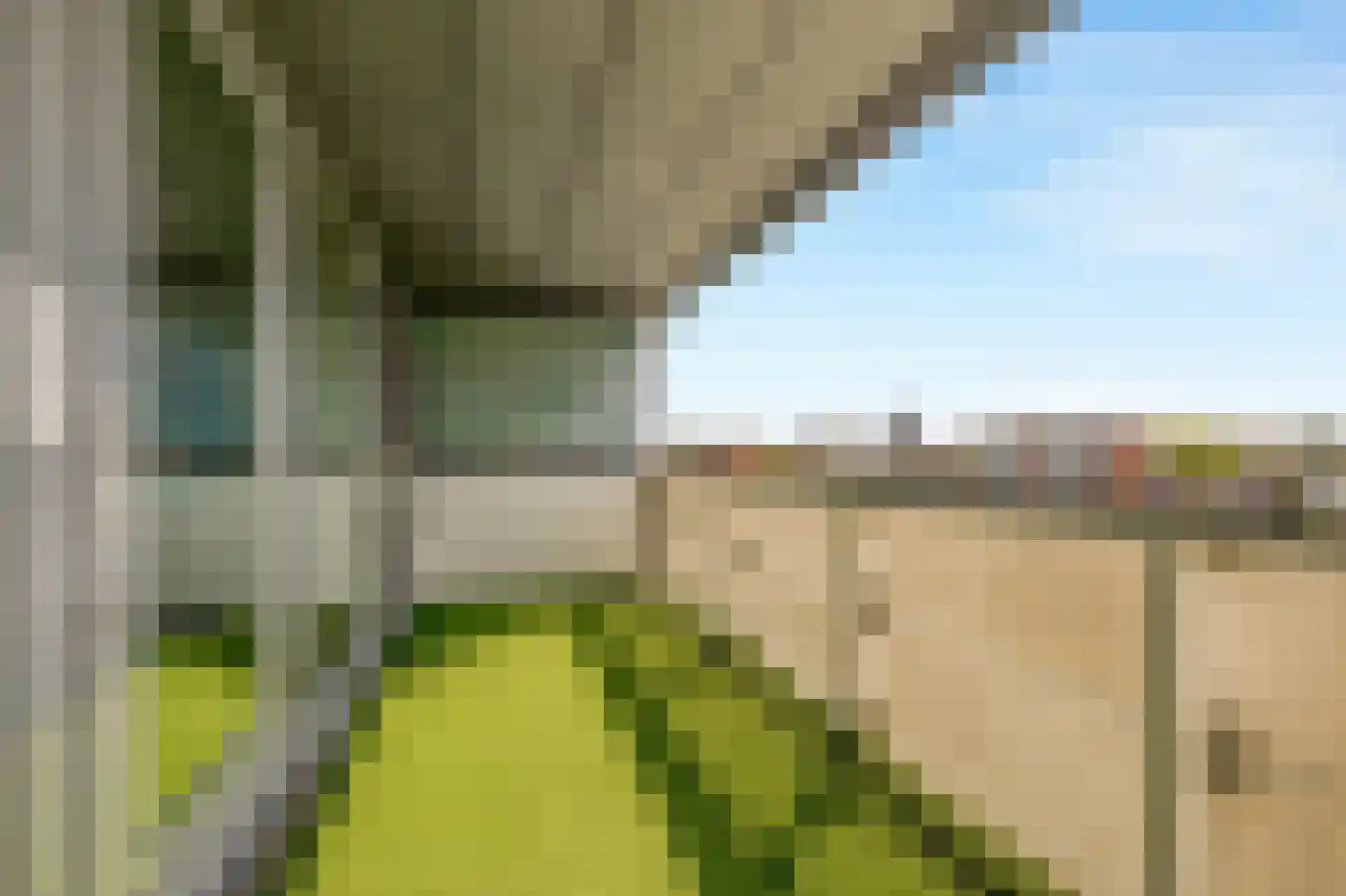 De Steven 29 Zaandam thumbnail 13