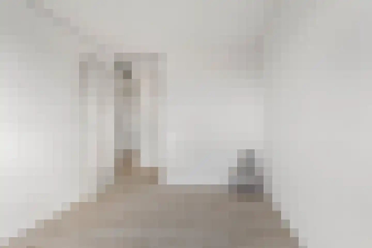 De Steven 29 Zaandam thumbnail 22
