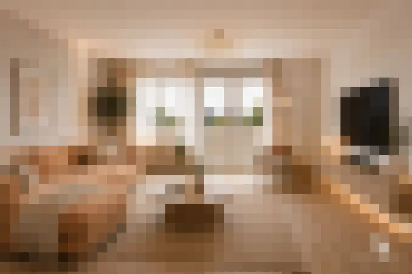 De Steven 29 Zaandam thumbnail 24