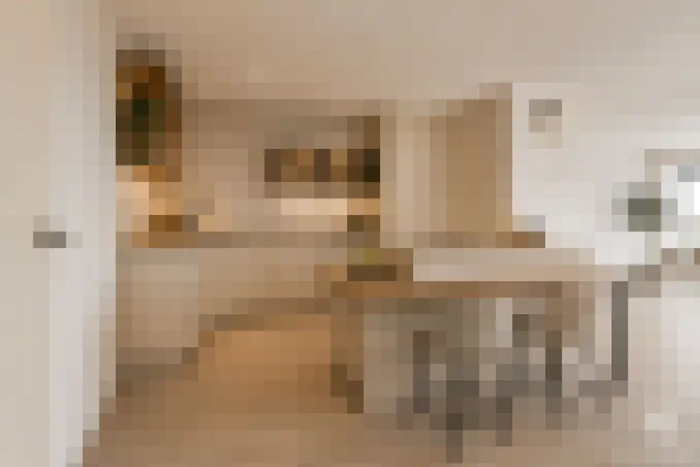 De Steven 29 Zaandam thumbnail 25