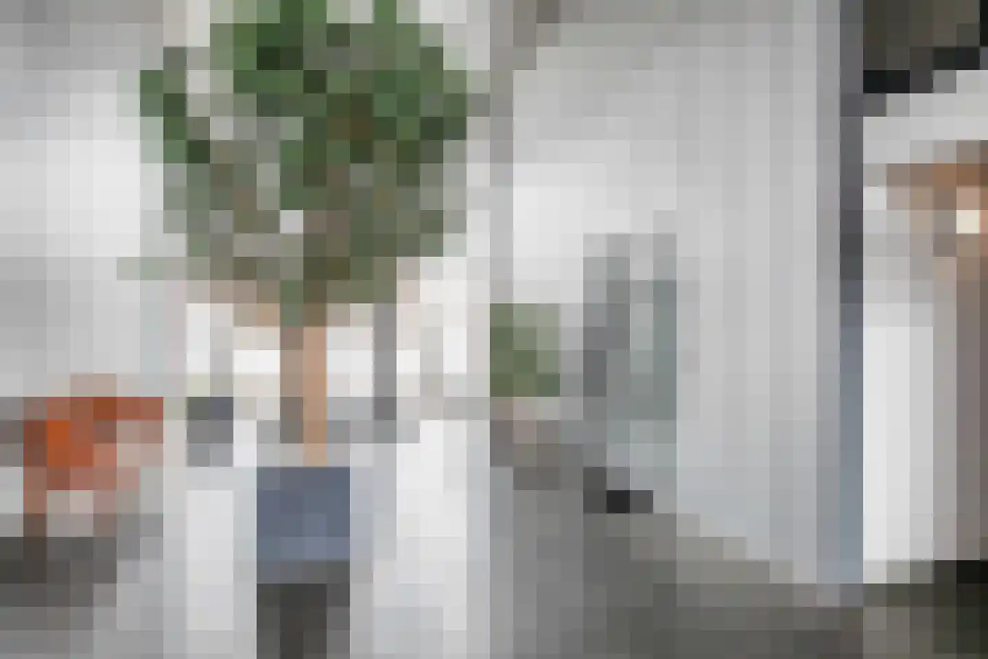 De Steven 29 Zaandam thumbnail 29